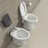 vaso e bidet per disabili