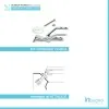 scheda tecnica Coppia di Cerniere per copriwater Conca di Ideal Standard