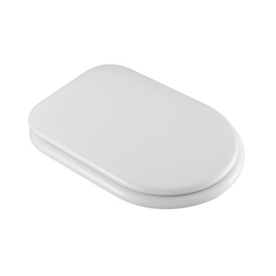 Sedile wc originale per water bidet combinato per disabili e anziani