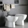 Sanitari tradizionali Geberit con scarico a terra e copriwater  Fantasia