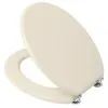 Copriwater Universale Champagne feridras 183019